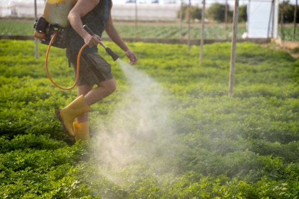 Best Commercial Pest Control Services  in Piednt, MO