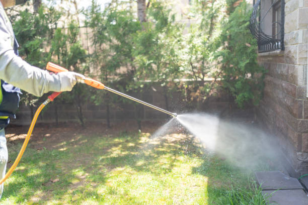 Best Flea Control Services  in Piednt, MO